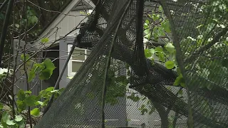 Isolated storm damage still remains across St. Louis region