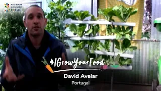 #IGrowYourFood - Meet David Avelar from Portugal & hear what he has to say about Permaculture 🇵🇹