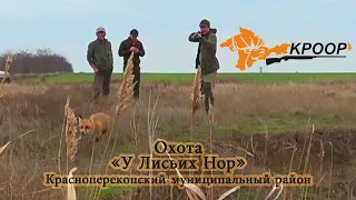 Охота на лисицу с ягдтерьером в Красноперекопском муниципальном районе Крыма
