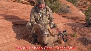 Arizona Desert Bighorn Sheep Hunt...171"...Giant Ram... 12B