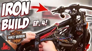 Harley Iron 883 Giveaway Build! 🛠 Coil / Ignition Relo / Wire Tuck! (S2 Ep4)