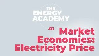 Energy market economics 101: setting the electricity price