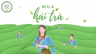 [Vietsub+Pinyin] Mùa hái trà - Song Sênh | 采茶纪 - 双笙