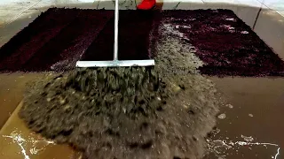 Dirty shaggy Carpet cleaning satisfying rug cleaning ASMR