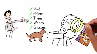 Allergy Elimination 4 Pets