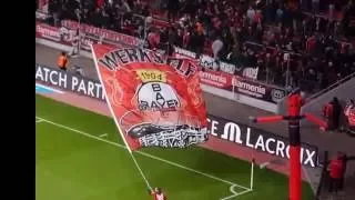 Bayer Leverkusen v SV Darmstadt