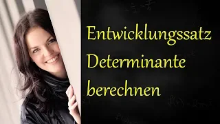 Determinante berechnen (Laplacescher Entwicklungssatz)