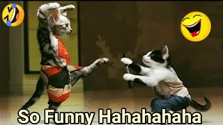 Try not to laugh funniest cats and dogs 2024 |  Funny Animals clean 2024 | Funny Animal fails 2024