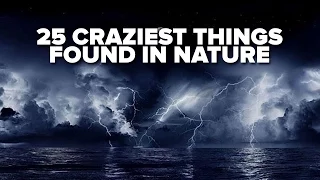 25 Craziest Things Found In Nature