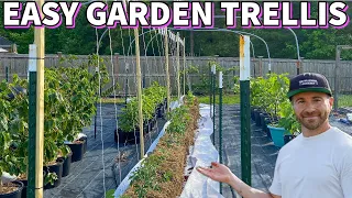 This Easy Cheap GARDEN TRELLIS Will Fit Almost Anywhere!