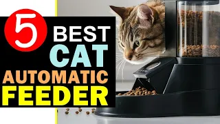 Best Cat Automatic Feeder 2024 🏆 Top 5 Best Cat Automatic Feeder Reviews