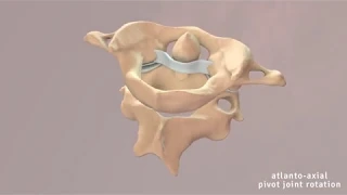Atlantoaxial Joint Movement