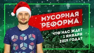 Мусорная реформа | Что нас ждёт 1 января 2019 года?