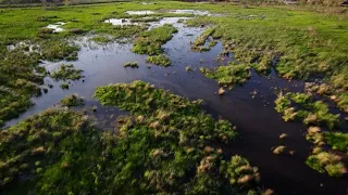 The Future of the Marsh - Upper Barataria Marsh Creation