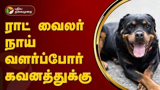 ராட் வைலர்  நாய் வளர்ப்போர் கவனத்துக்கு...! #rottweiler #dog #dogbite | PTT