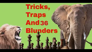 Tricks, Traps And Blunders 36 | The World Greatest Chess Blunders