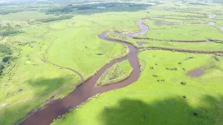Природа Хабаровского края. Река Сита.