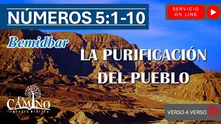 NÚMEROS 5:1-10 - LA PURIFICACIÓN DEL PUEBLO