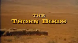 Henry Mancini - "The Thorn Birds" Theme (가시나무 새) ...♪aaa (Instrumental) (HD)  [Keumchi - 韓]