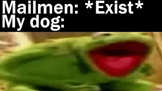 Memes My Dog Ate || Nightly Juicy Memes #157