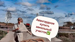 Земельные участки купить в #АвангардноеГурьевскогорайона.