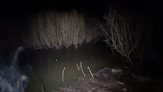 Рыбалка на паук подъёмник в ручье.Кипит вода от рыбы.