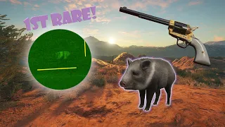 First Rare and Level 5 of the Super Rare Collared Peccary Grind! in theHunter: Call of the Wild