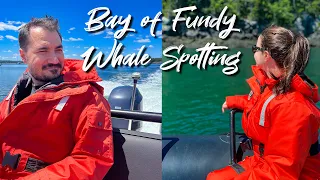 Whale Spotting in the Bay Of Fundy!