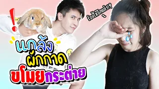 แกล้งผักกาด?! แอบเข้าห้องเอากระต่ายไปซ่อน (น้ำตาแตก ฮาๆ)