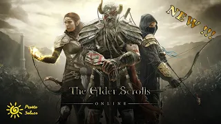 The Elder Scrolls Online глазами новичка ММОРПГ TESO в 2022