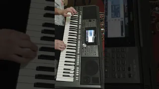 Нэнси-Чистый лист Yamaha PSR S970