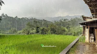 Walking In Heavy Rain | Wet and Slippery Village Roads | Sleep Well With the Sound of Rain