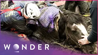 Elite Rescue Team Called To Save Trapped Horse | Living Dangerously | Wonder