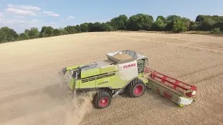 Høst 2018 Hvede - Claas Lexion 770 + Claas Axion 870 l 4K