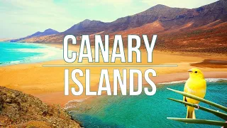 CANARY ISLANDS - why you must visit every single one of them!