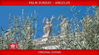 Pope Francis - Celebration of Palm Sunday - Angelus prayer 2018-03-25