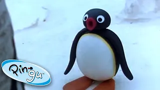 Pingu's Big Trip | Pingu Official | Cartoons for Kids
