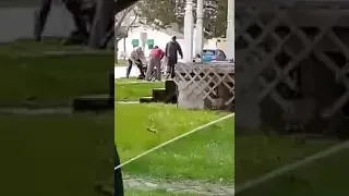 Pitbull attacks another Dog