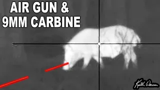 Shooting COYOTES and HOGS with 9mm TRACERS and THERMAL