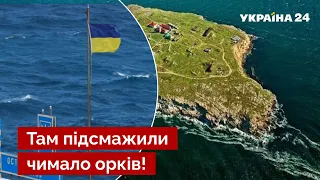 💣Освободить Змеиный помогло уникальное украинское оружие - россия, путин, Одесса, Крым - Украина 24