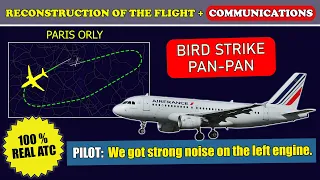 Bird strike. “We got strong noise on the engine” | Air France Airbus A319 | Paris Orly Airport, ATC