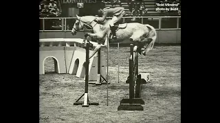 Tribute to William Steinkraus: Equestrian Olympic Gold Medalist
