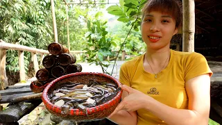 365 days gardening raising fish, From start to harvest goes to the market sell | Ana Bushcraft
