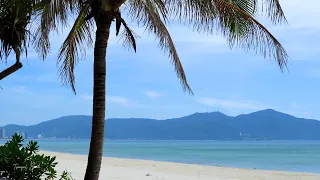 Relaxing 10 Hours of Tropical Beach with Ocean Sounds, Blue Sky, White Sand & Palm Trees