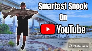 *Smartest SNOOK on Youtube* (Sebastian Inlet South Jetty)