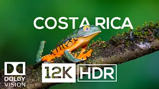 COSTA RICA IN 12K HDR 60fps (ULTRA HD)