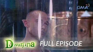 Dwarfina: Full Episode 40