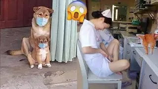 New Funny and Fail Videos 2023 😂 Cutest People Doing Funny Things 😺😍 P2