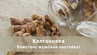 Калгановка. Воистину мужская настойка! Простой рецепт