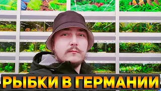 Третий зоомагазин в Германии который я посетил! Аквариумные рыбки в Европе!